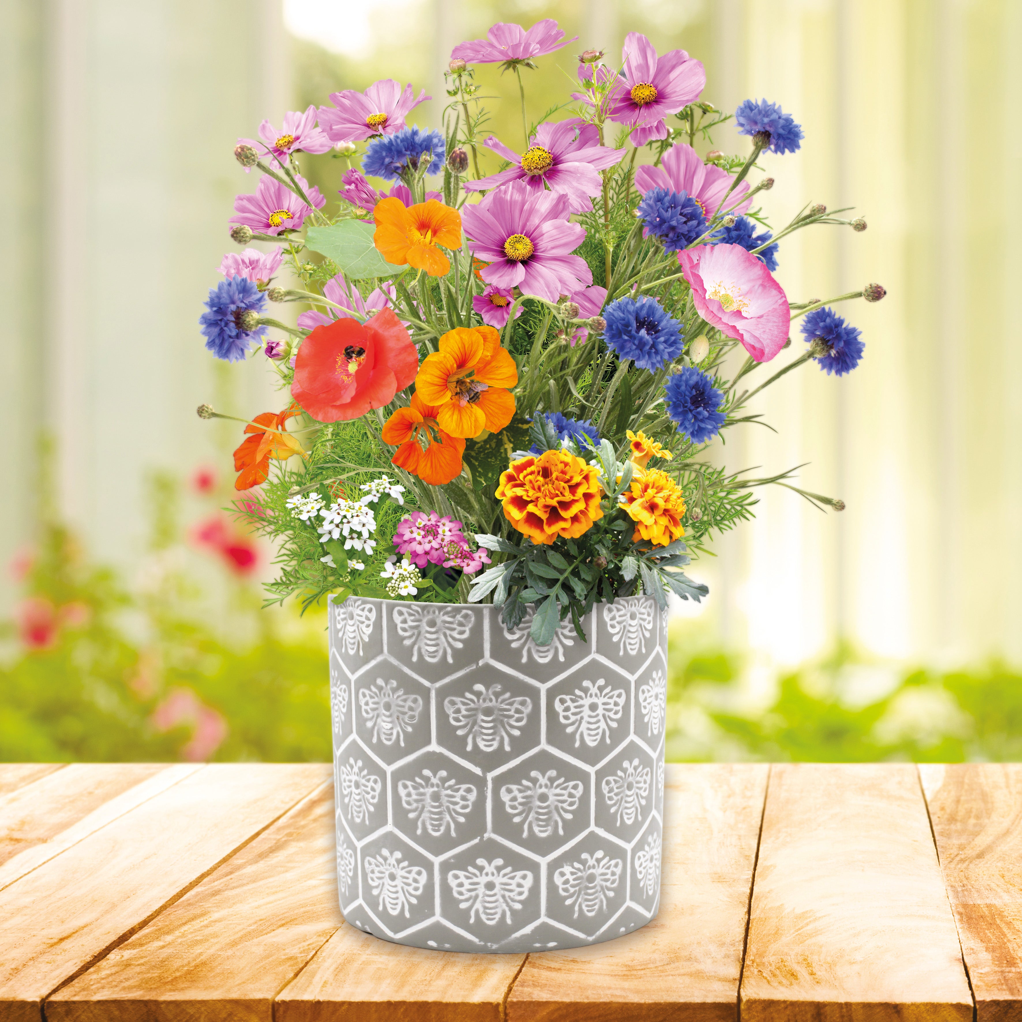 Bee Friends Mix Seeds Patterned Ceramic Pot 17cm