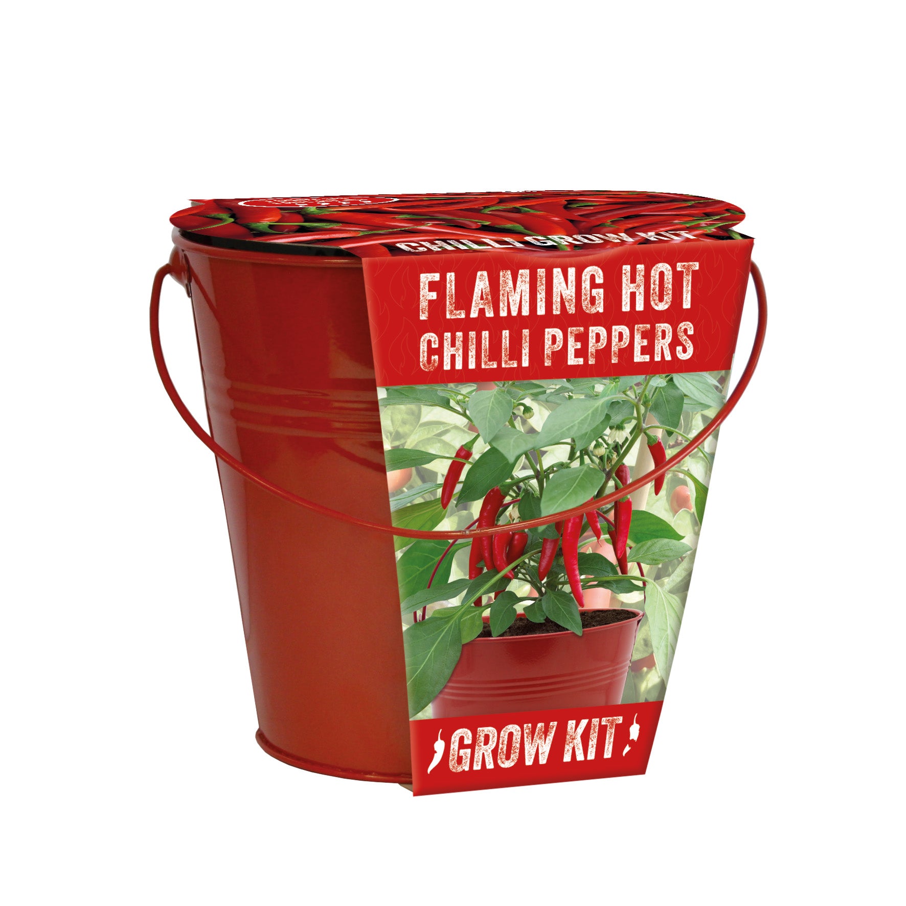 Grow Your Own Red Chilli Bucket Kit