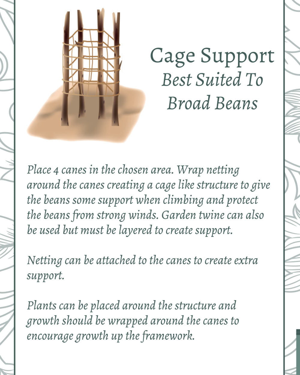 Grow Your Own Climbing Pea & Bean Giftset
