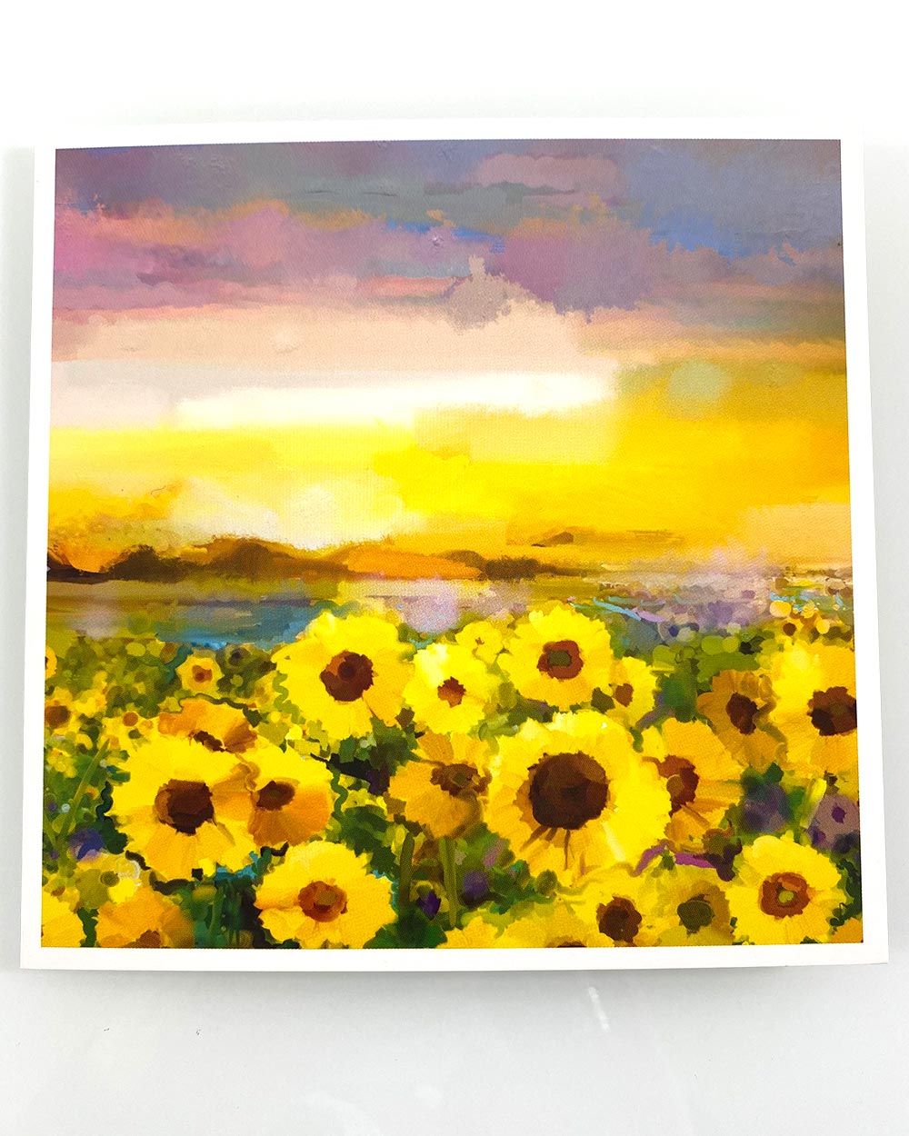 These cards are all made from FSC board which has also been carbon balanced. A perfect purchase for the environmentally conscious! From a traditional sunflower design to a modern happy birthday design.