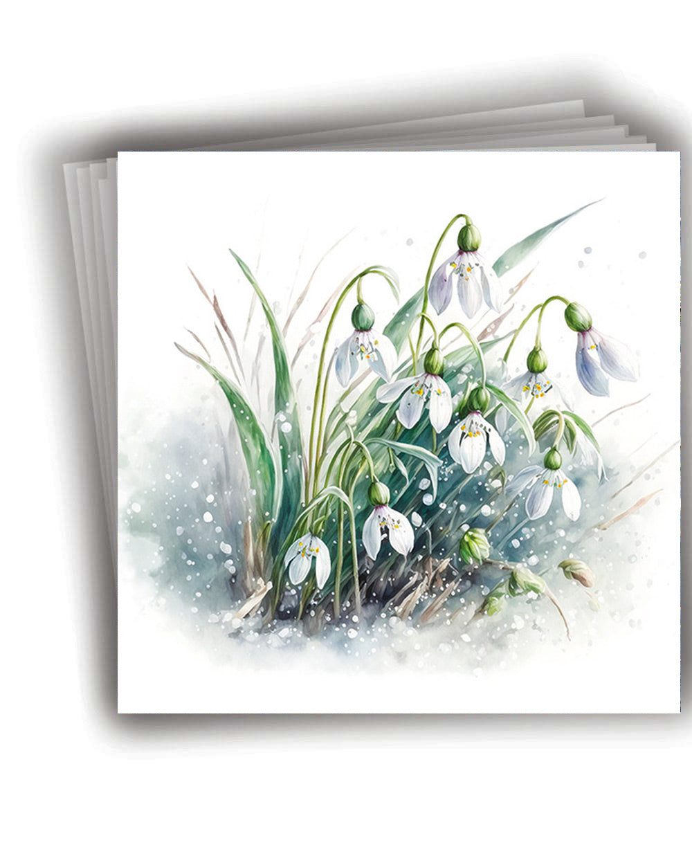 Charity Christmas Cards Pack Of 10 Snowdrops