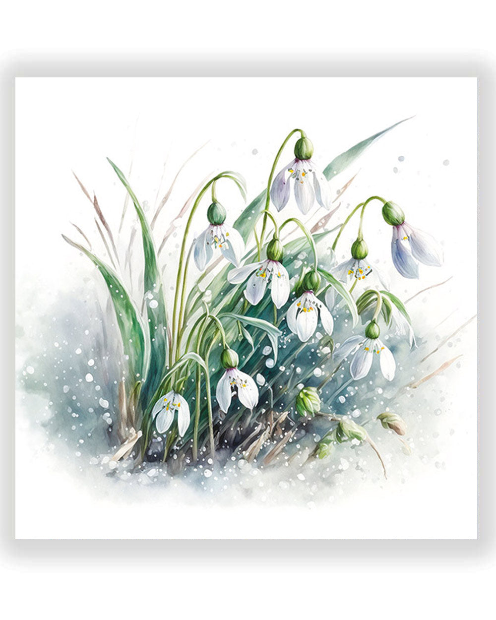 Charity Christmas Cards Pack Of 10 Snowdrops