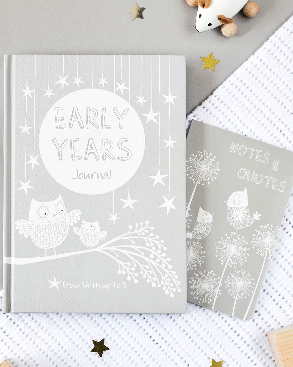 Early year baby book memory journal in a lifestyle photo