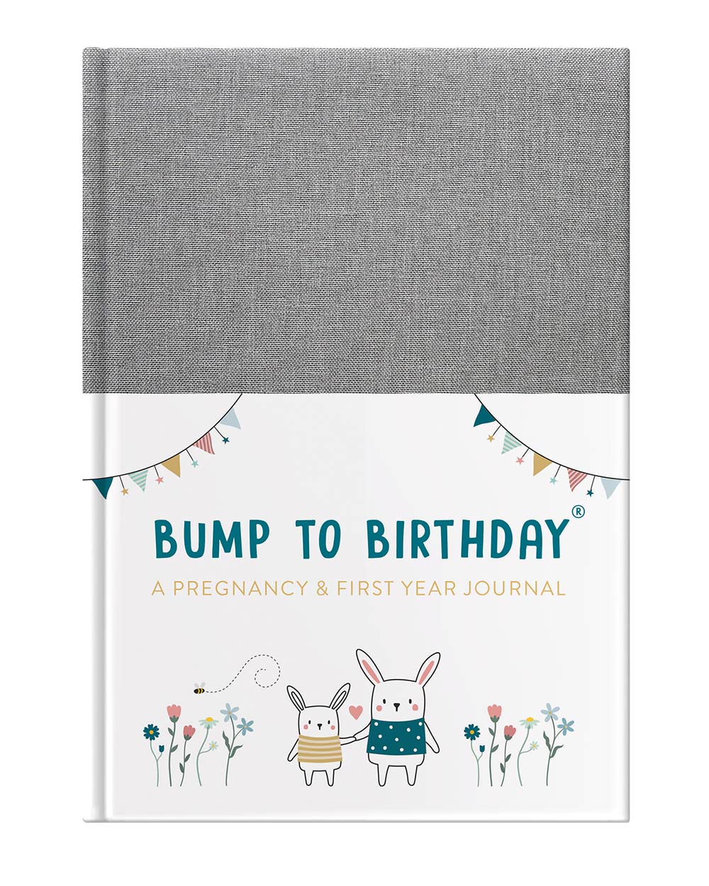 Memory Book Pregnancy Journal Bump to Birthday