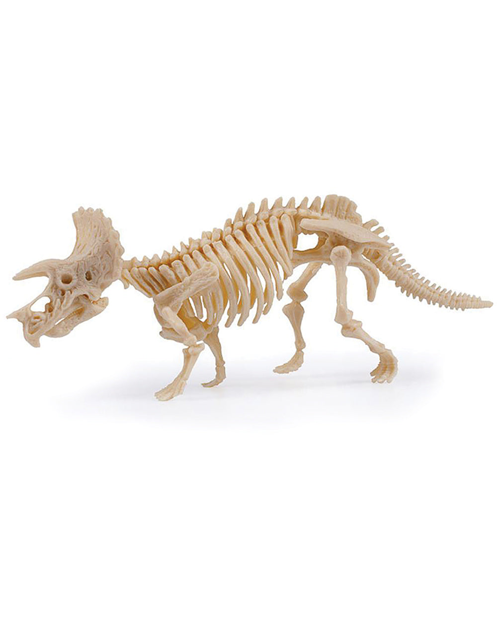 Model of he triceratops when build on a white cut out back ground