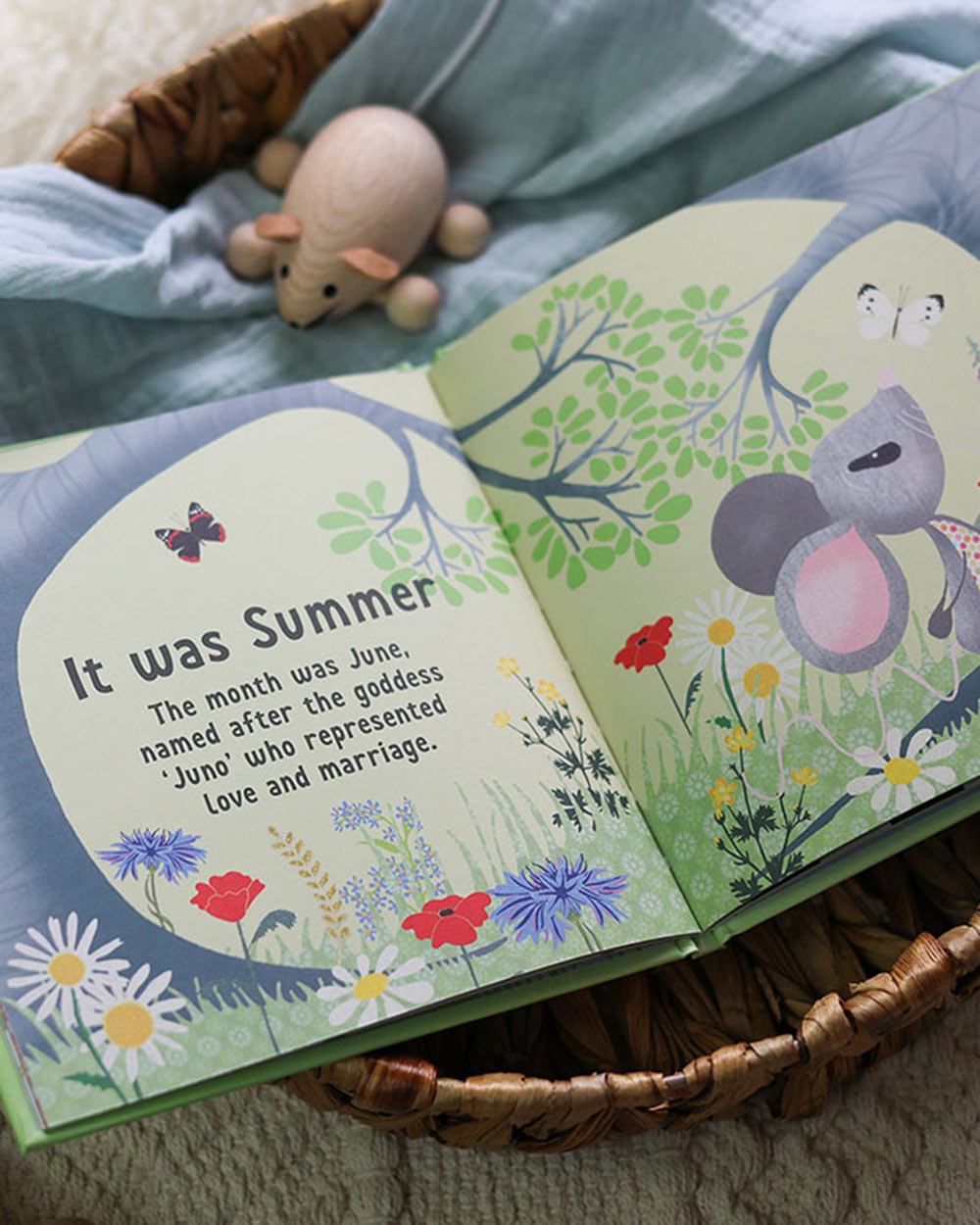 The Day You Were Born In June Memory Book