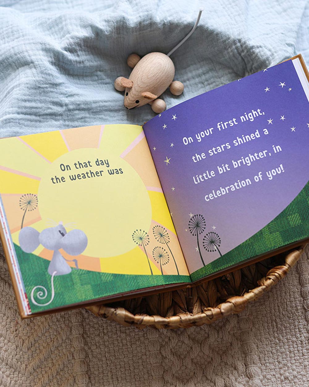 The Day You Were Born In November Memory Book