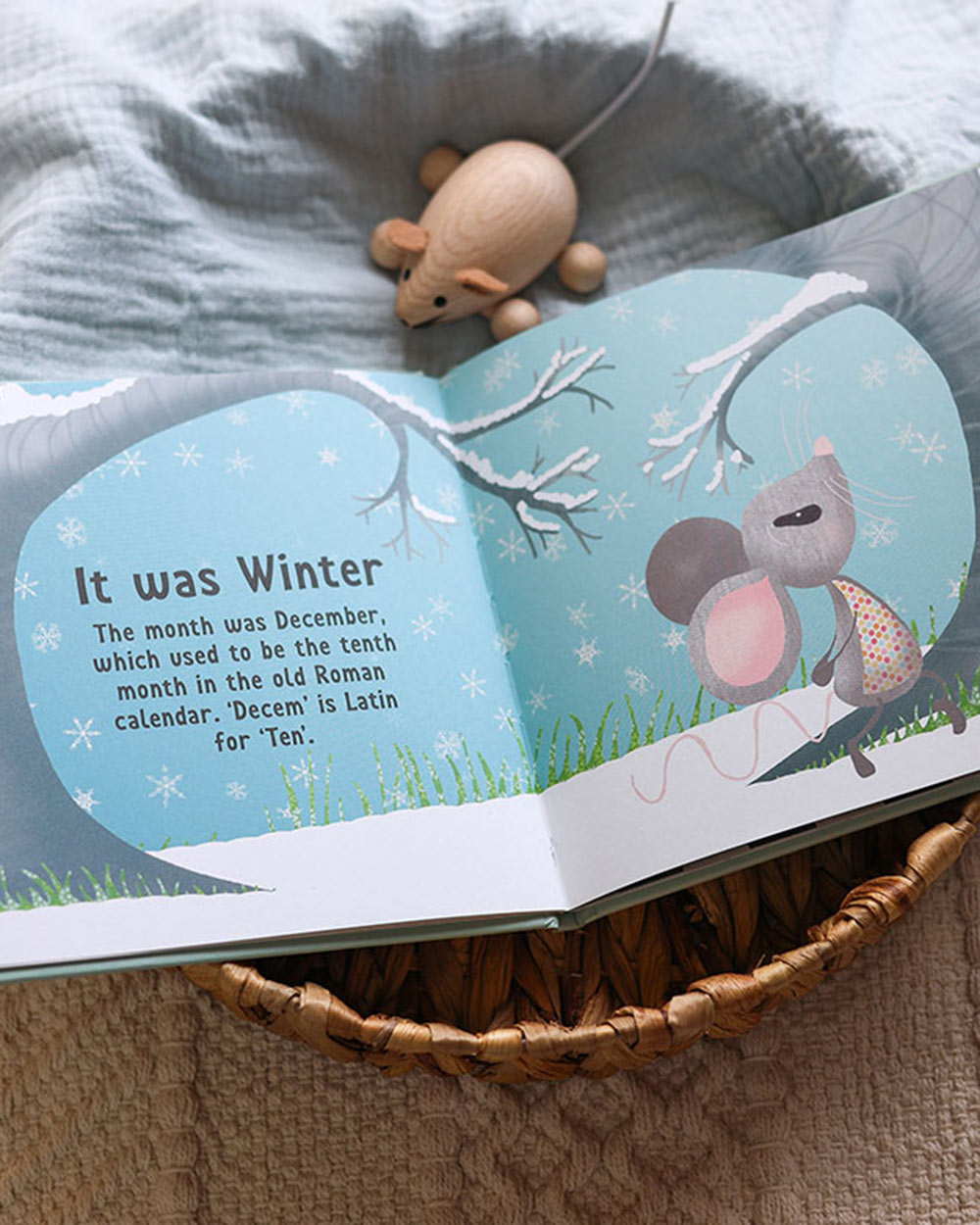 The Day You Were Born In December Baby Memory Book