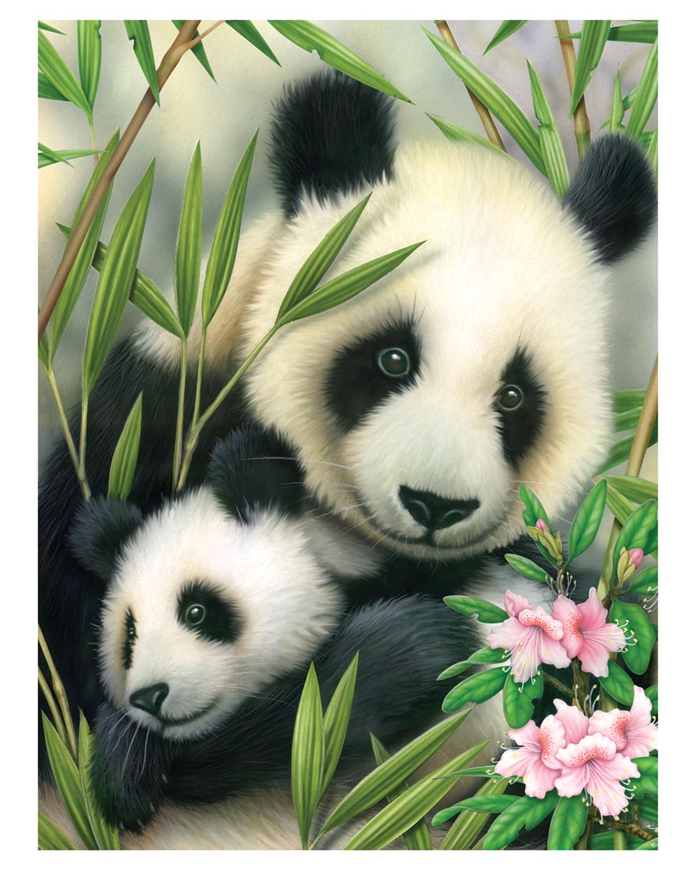 Painting By Numbers Kit Panda & Baby Age 8+