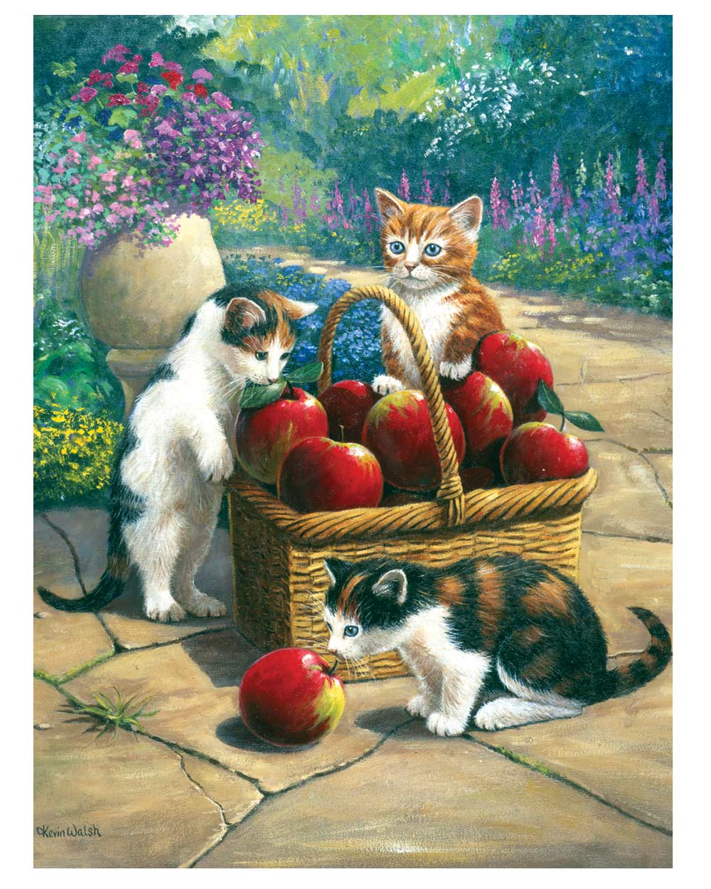 Painting By Numbers Kit Bumper Crop Kittens Cats Age 8+