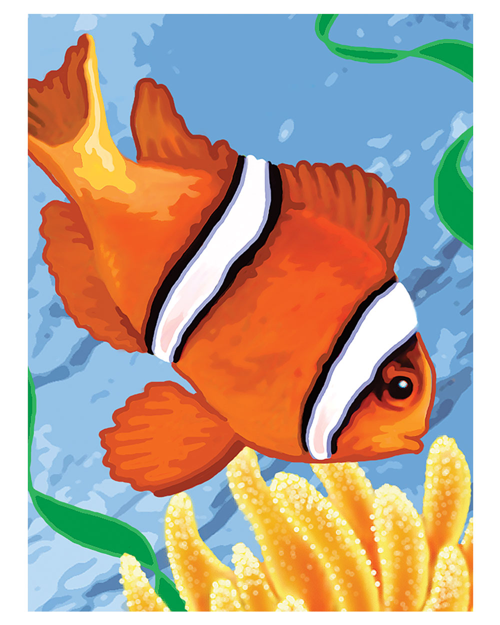 Painting By Numbers Kit Clown Fish Age 8+