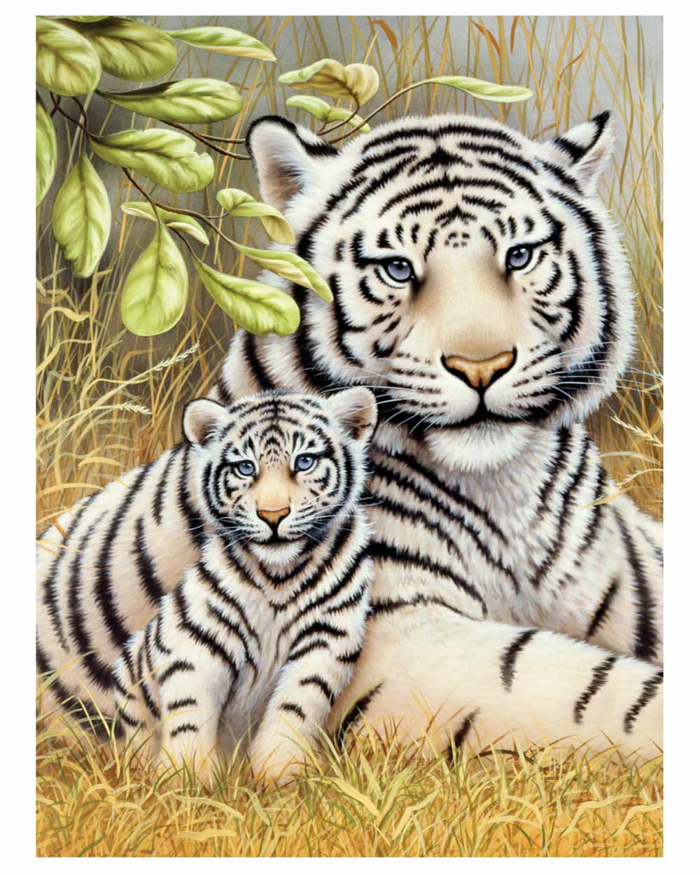 Painting By Numbers Kit White Tiger Pair Age 8+