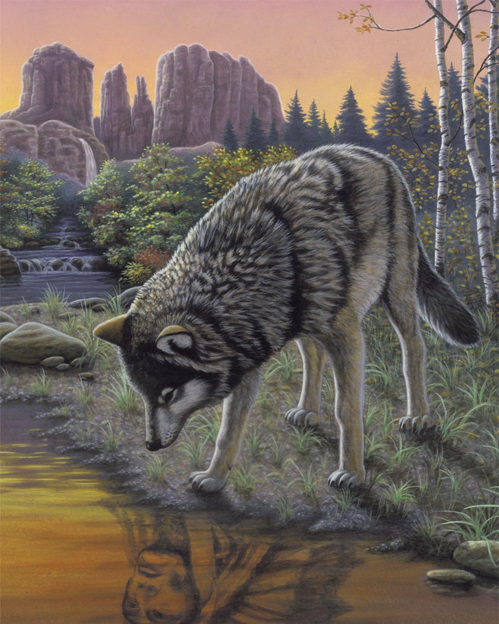 Painting By Numbers Kit Reflections Wolf Age 8+