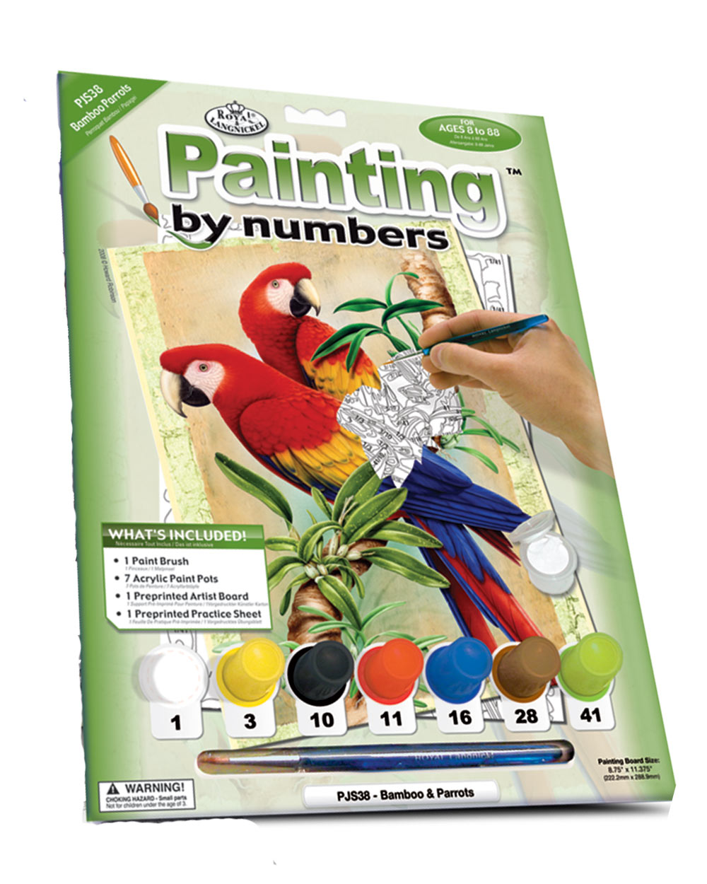 Painting By Numbers Kit Scarlet Macaw Parrot Age 8+