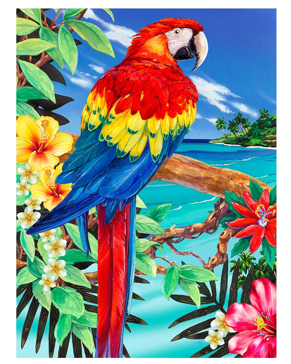 Painting By Numbers Kit Scarlet Macaw Parrot Age 8+