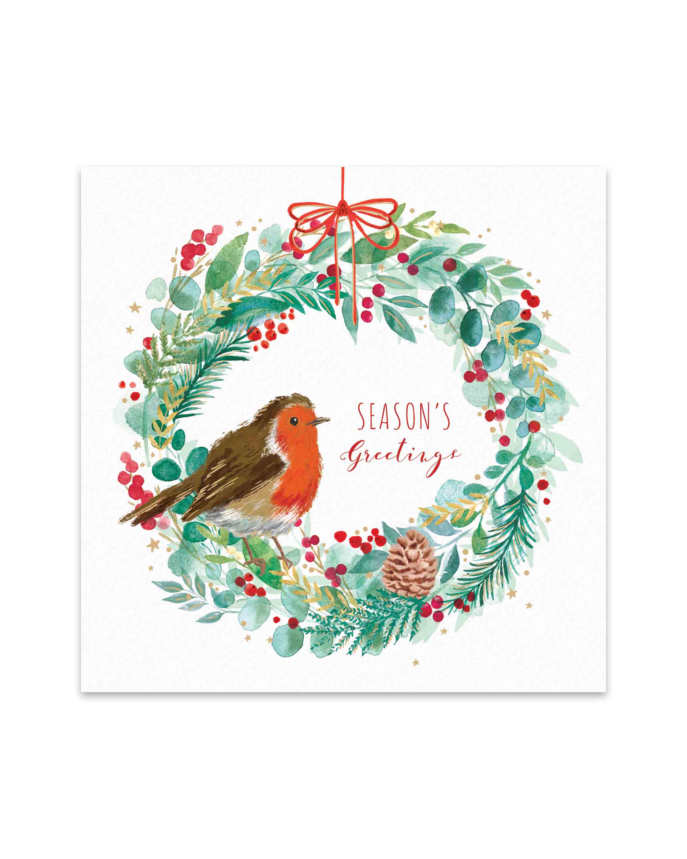 Charity Christmas Cards Robin Wreath 10 Pack