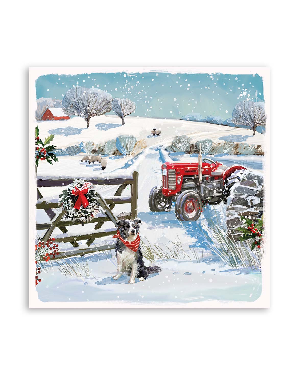 Charity Christmas Cards Farm Twin 10 Pack