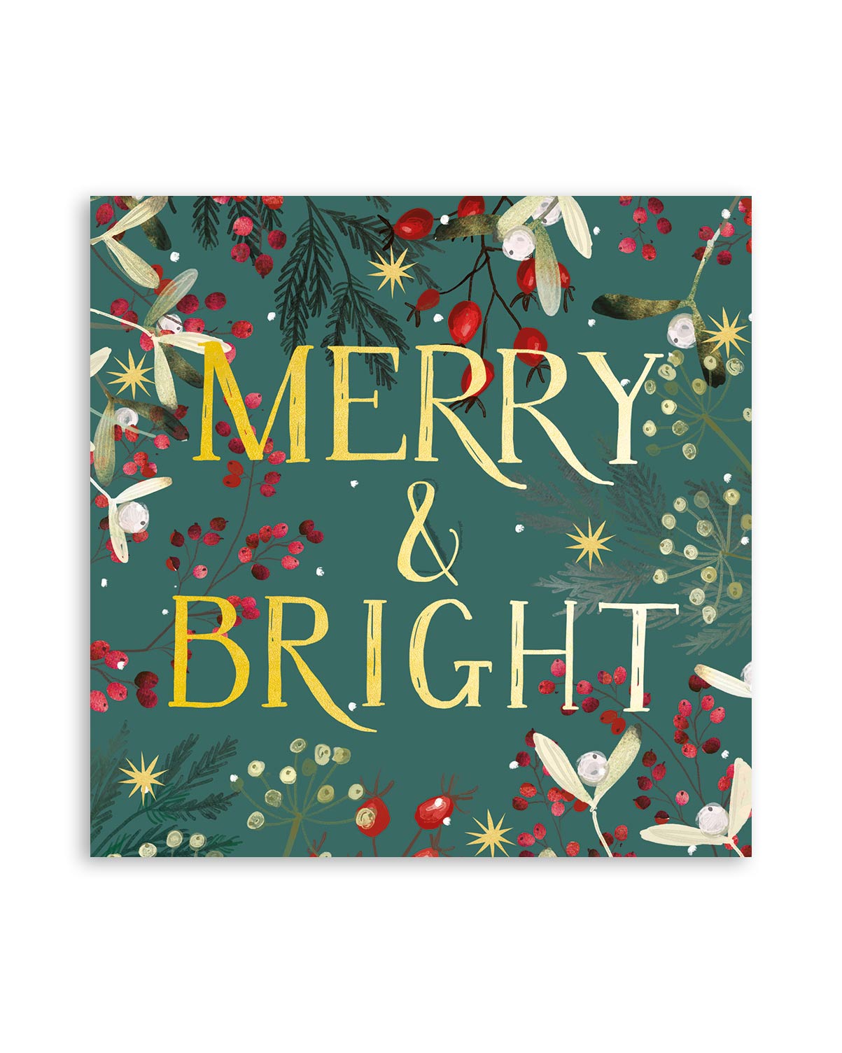 Charity Christmas Cards A Festive Message 10 Pack