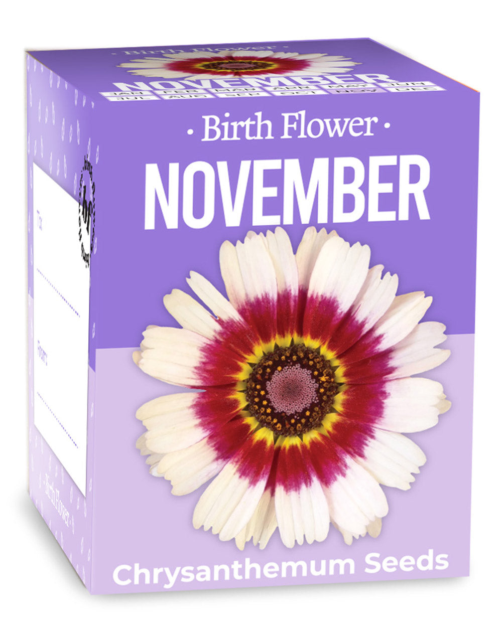 Grow Your Own November Birth Flower Gift Chrysanthemum