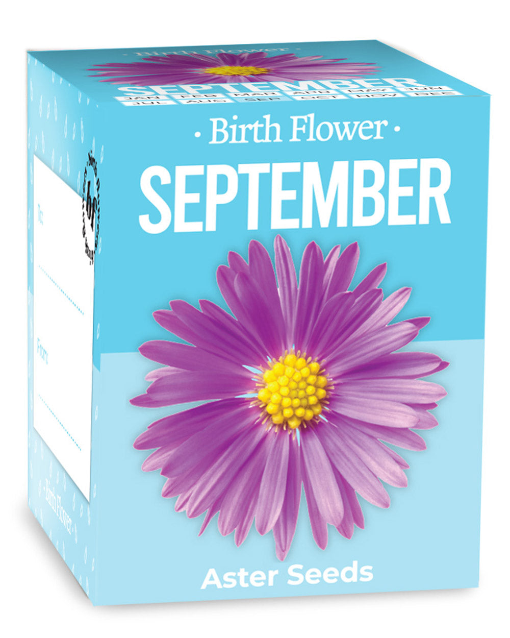 Grow Your Own September Birth Flower Gift Aster