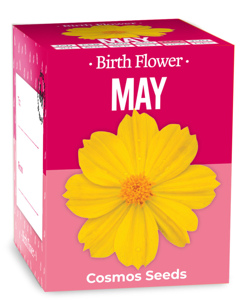 Grow Your Own May Birth Flower Gift Yellow Cosmos