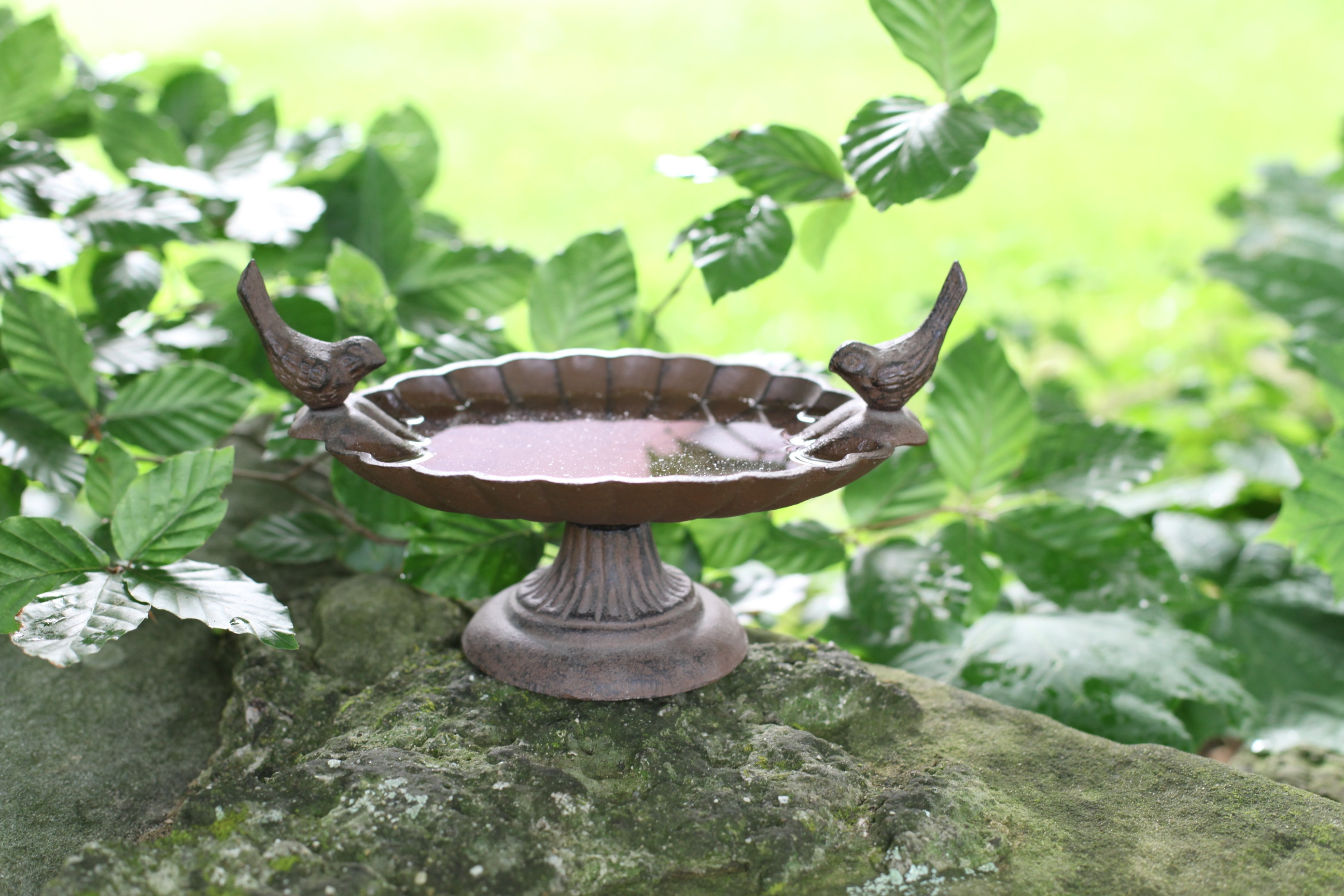 Cast Iron Bird Bath