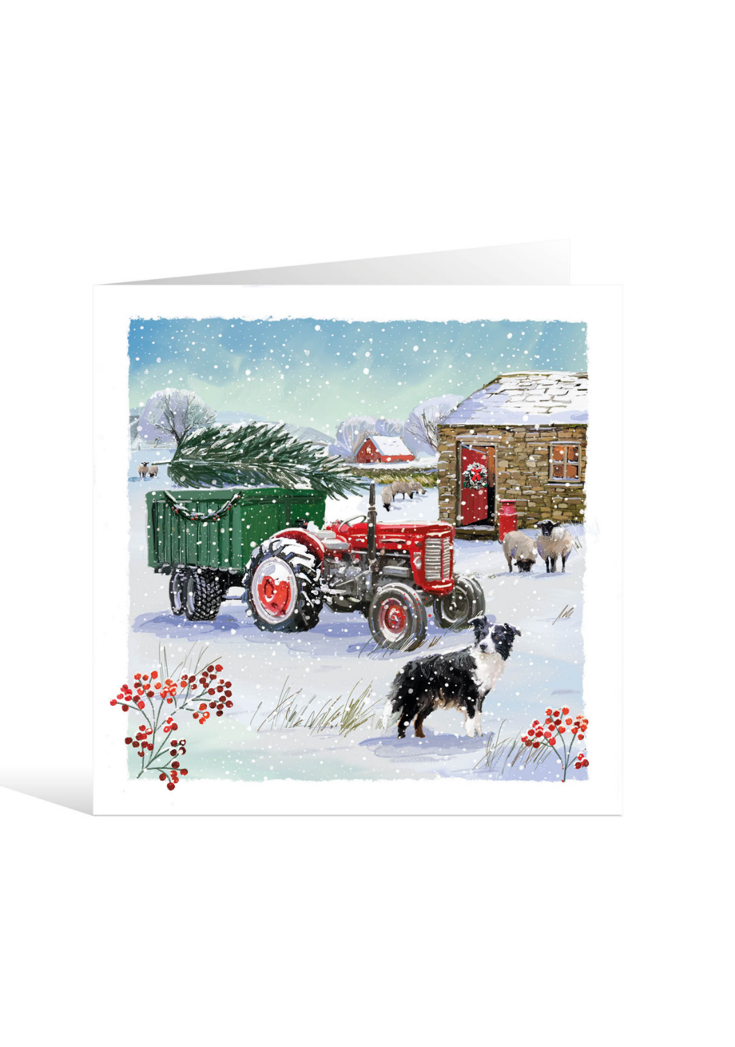 Charity Christmas Cards 10 Pack Christmas on the Farm