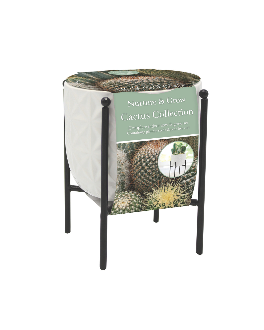Sow Nurtured Cactus Grow Set