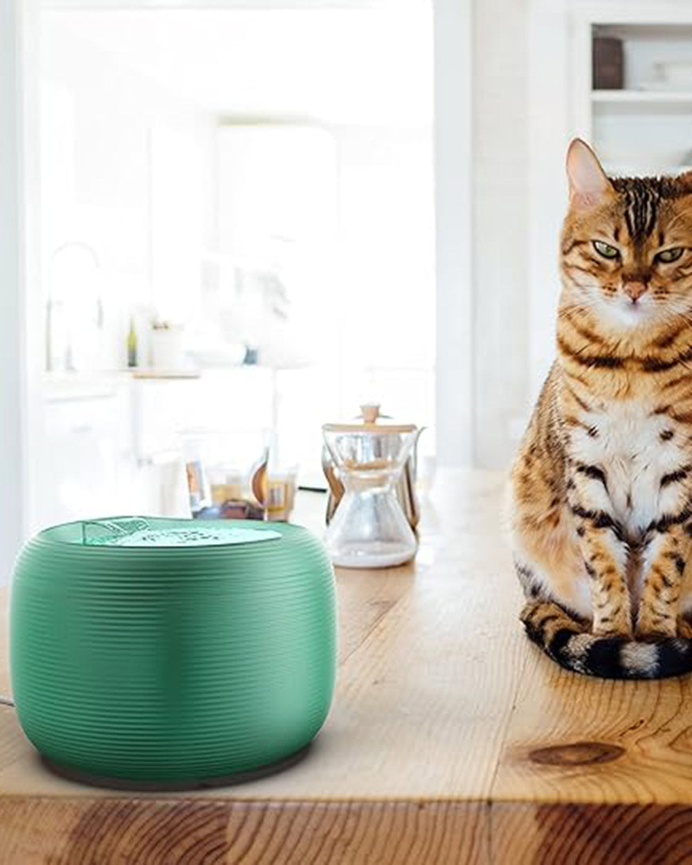 Pet Water Fountain Dog Cat Nugget Lite Drinking 2.5L Green