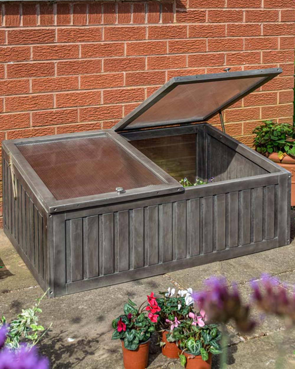 Alderly cold frame in a garden setting with one of the lids lifted up