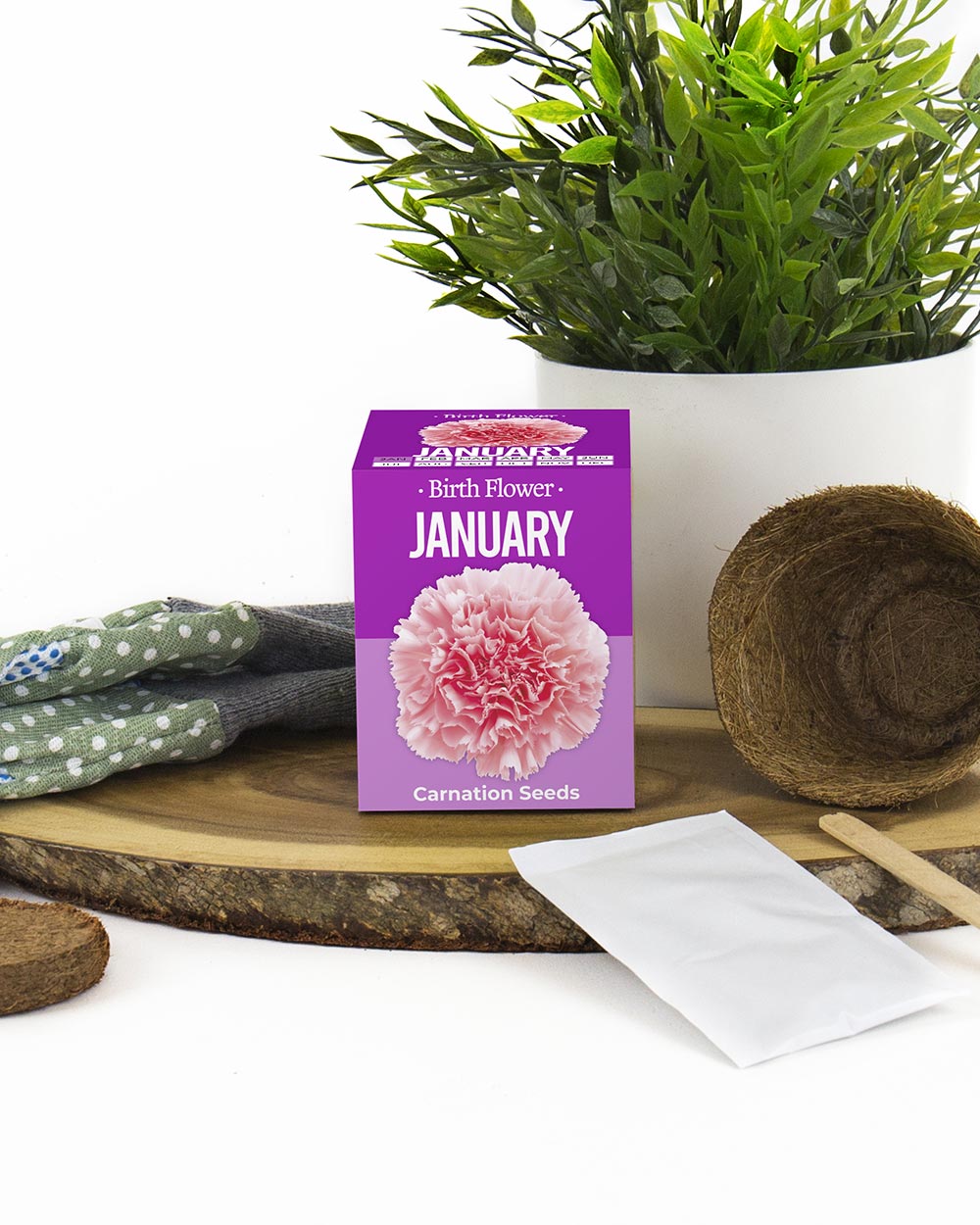 Grow Your Own January Birth Flower Gift Carnation