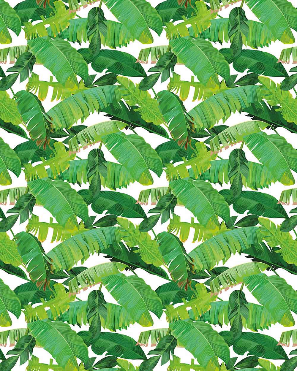 gift wrapping paper set tropical leaf recyclable UK tags friends birthday occasions