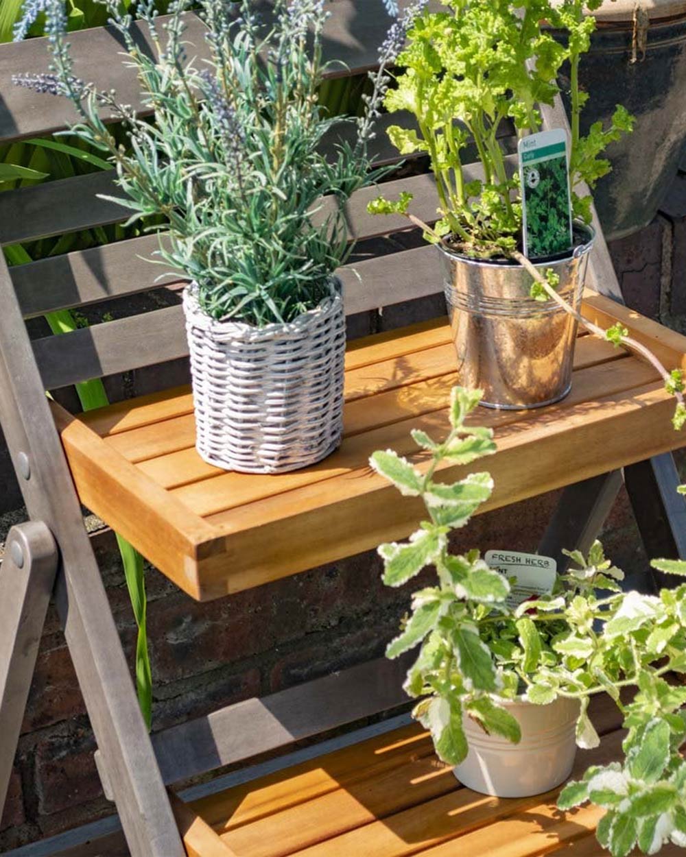 Alderley Hardwood 3 Tier Plant Ladder Display Small Rowlinson