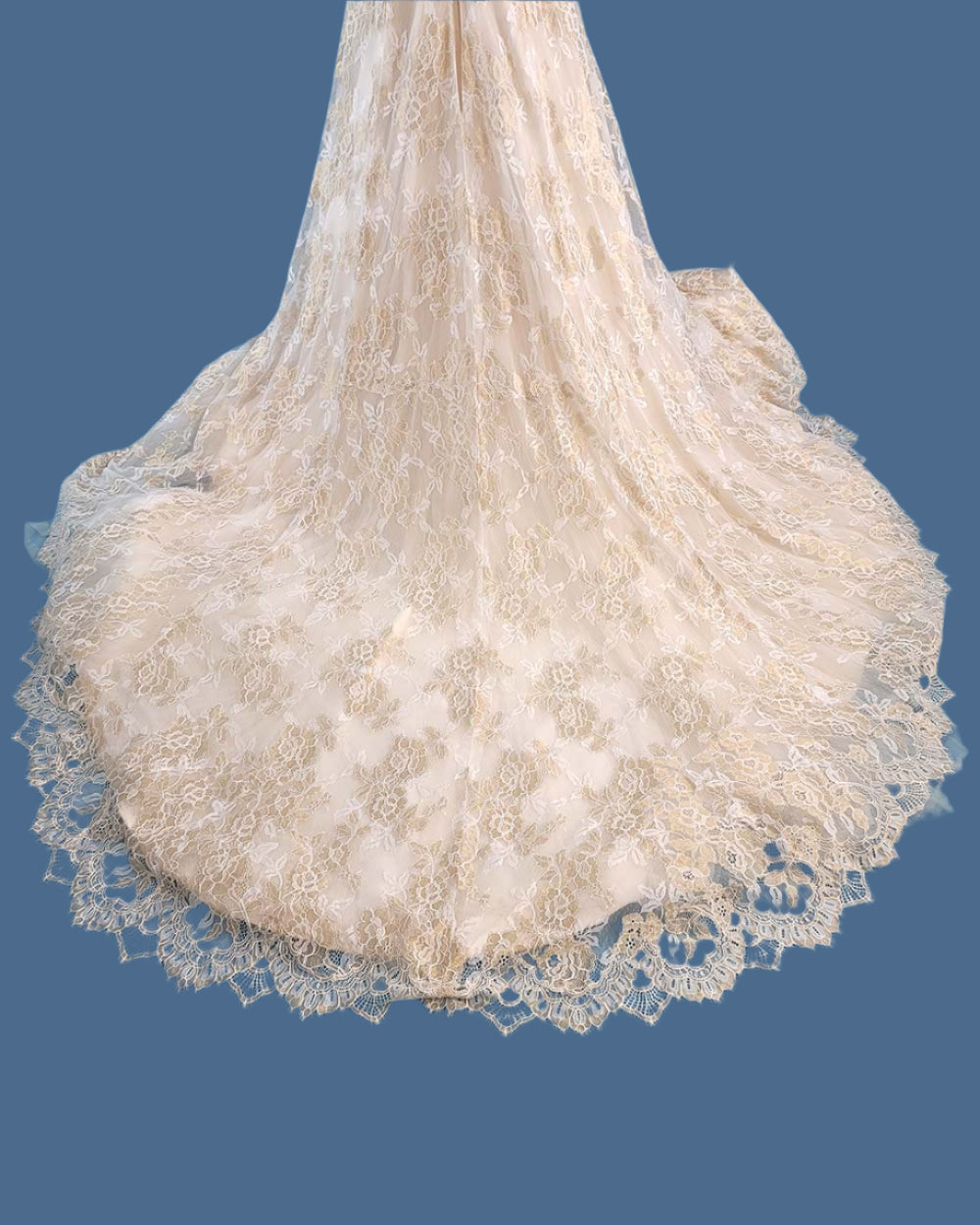 Jasmine Couture Gold Lace Illusion Wedding Dress Size 10