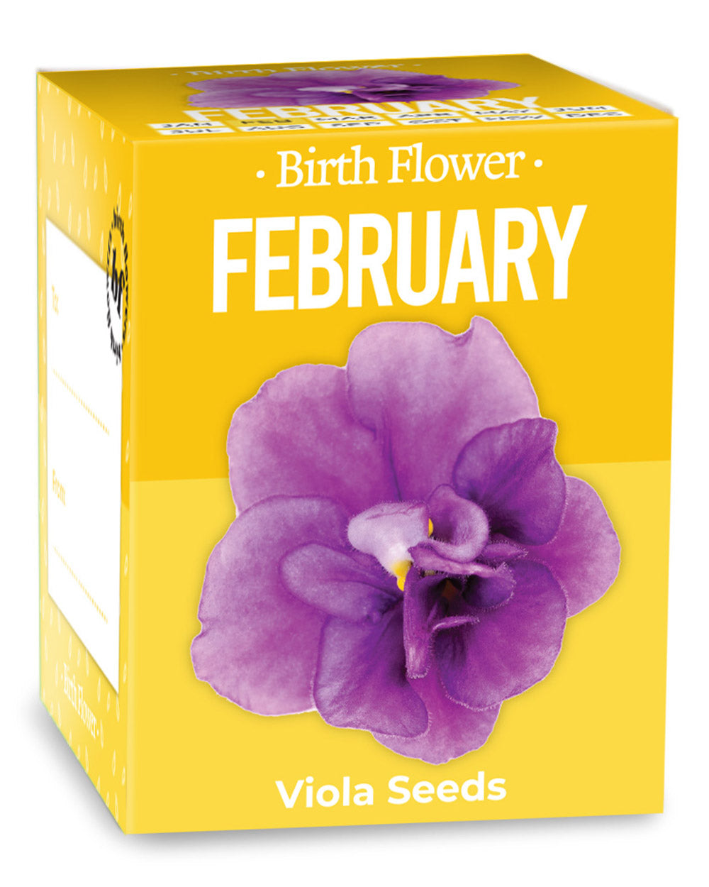 Grow Your Own February Birth Flower Gift Viola