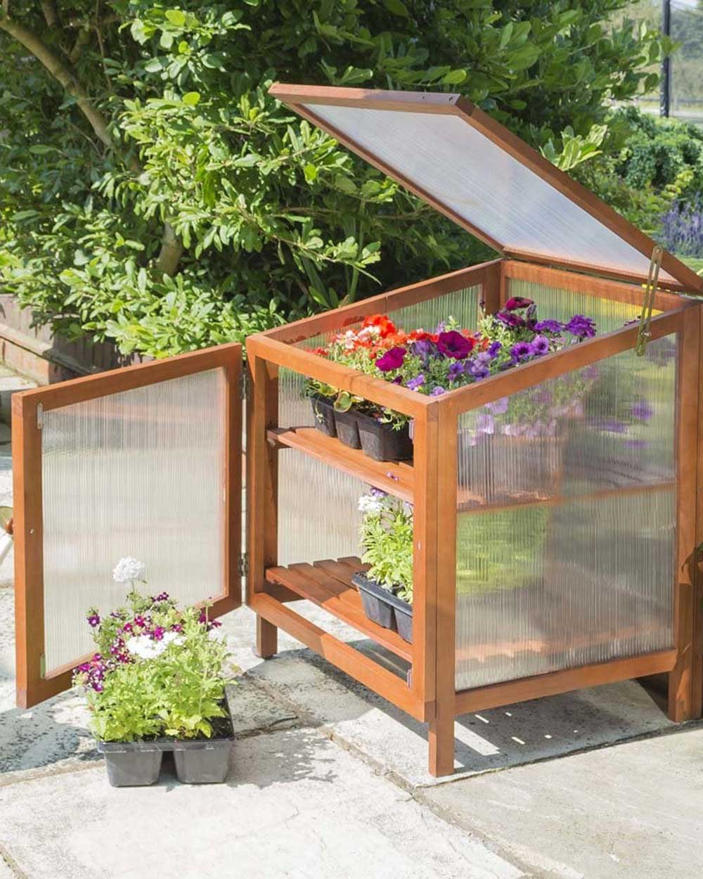 Rowlinson Eucalyptus Hardwood Coldframe