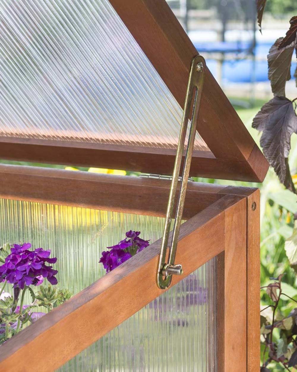 Rowlinson Eucalyptus Hardwood Coldframe