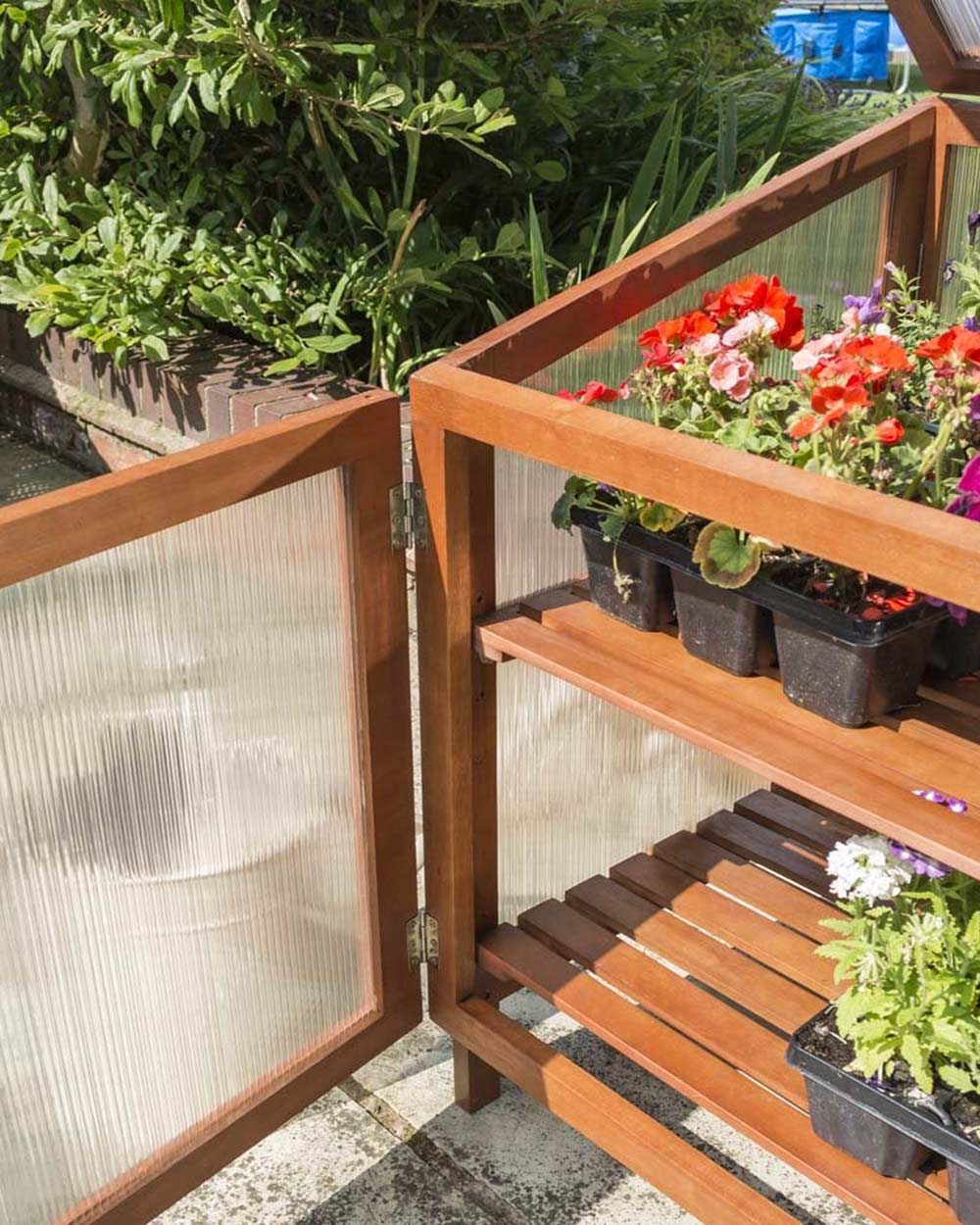 Rowlinson Eucalyptus Hardwood Coldframe