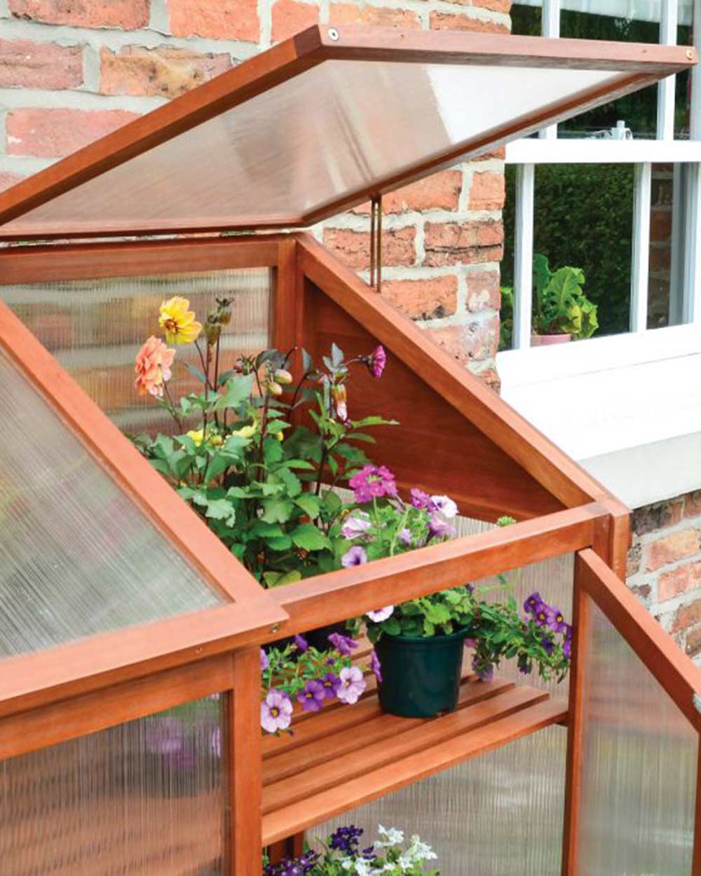 Small Wooden Greenhouse Hardwood Mini Rowlinson in a garden with the doors open displaying the plants inside