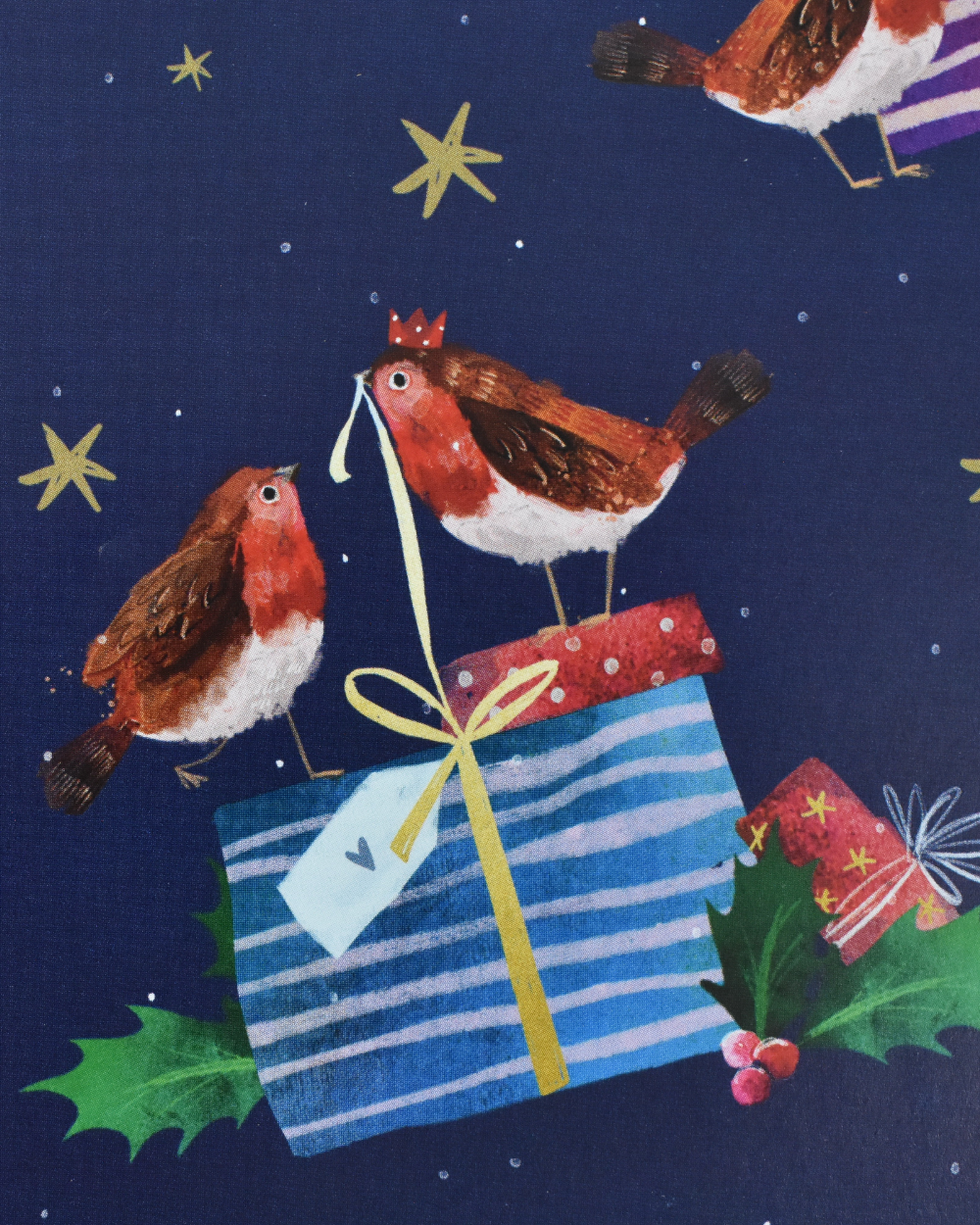 Robin Friends Christmas Gift Wrap Set