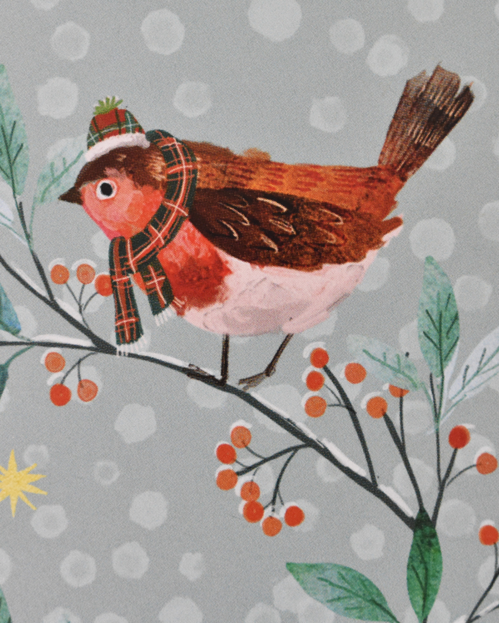 Robin Friends Christmas Gift Wrap Set
