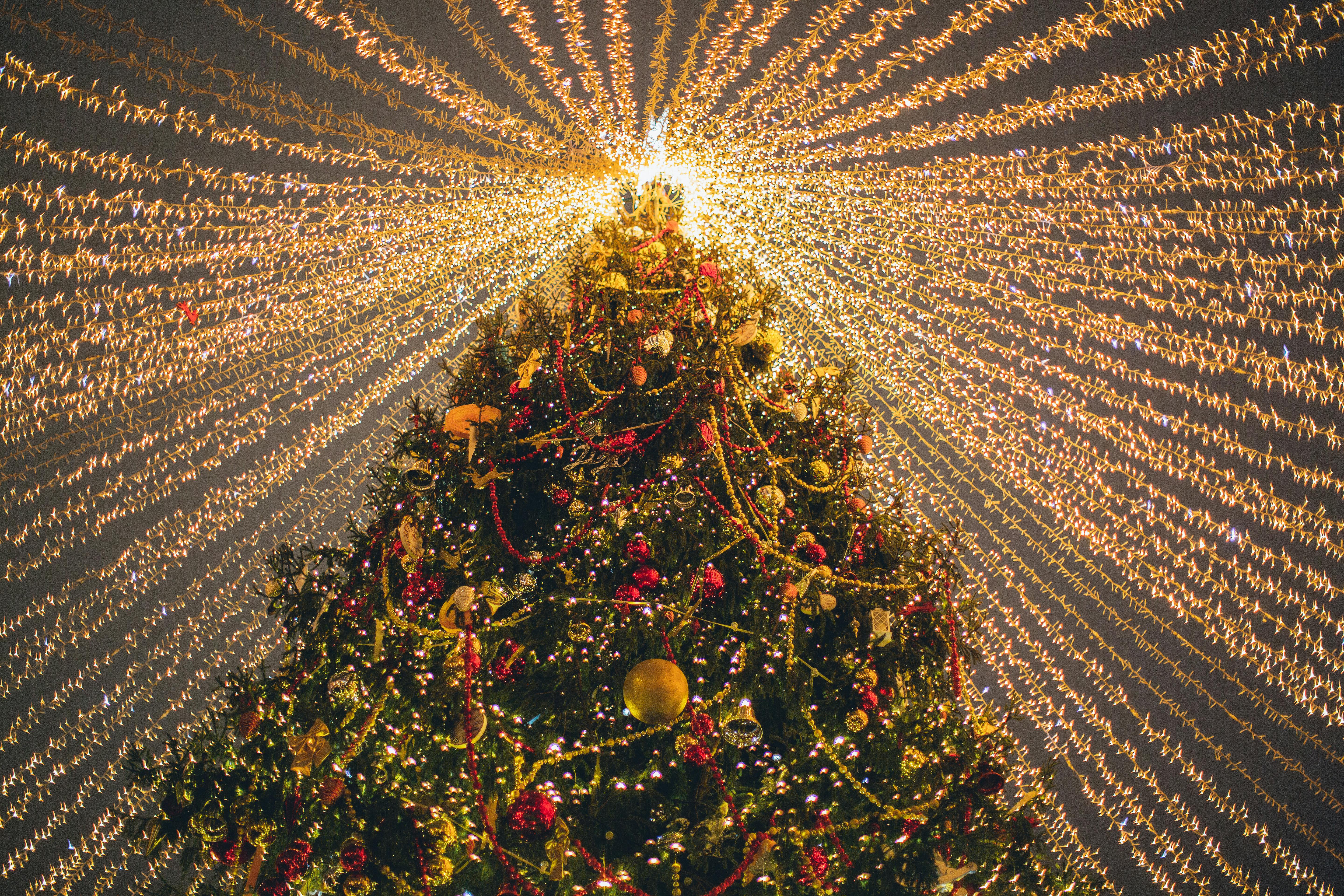 Christmas lighting