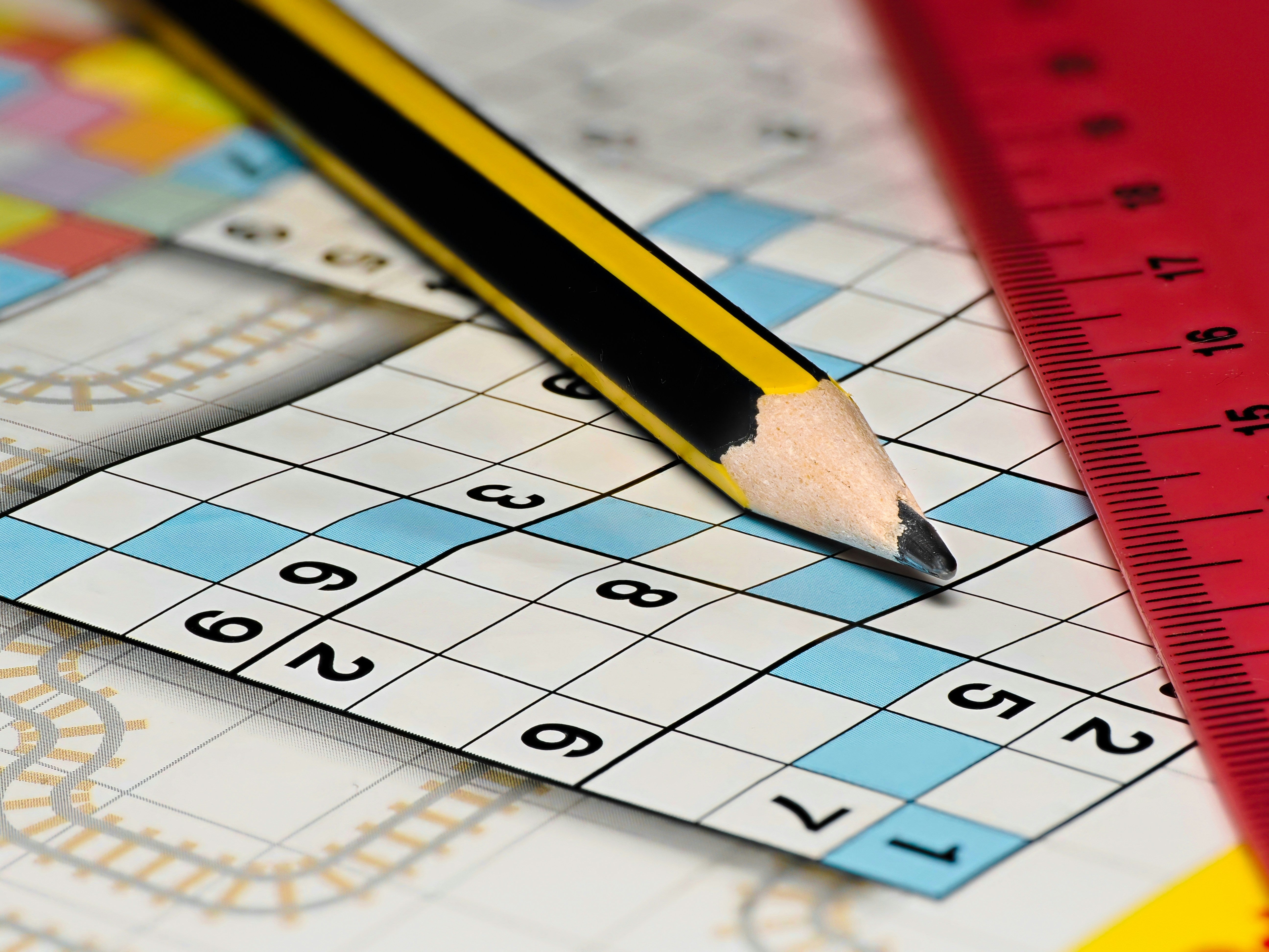 Adult puzzle books