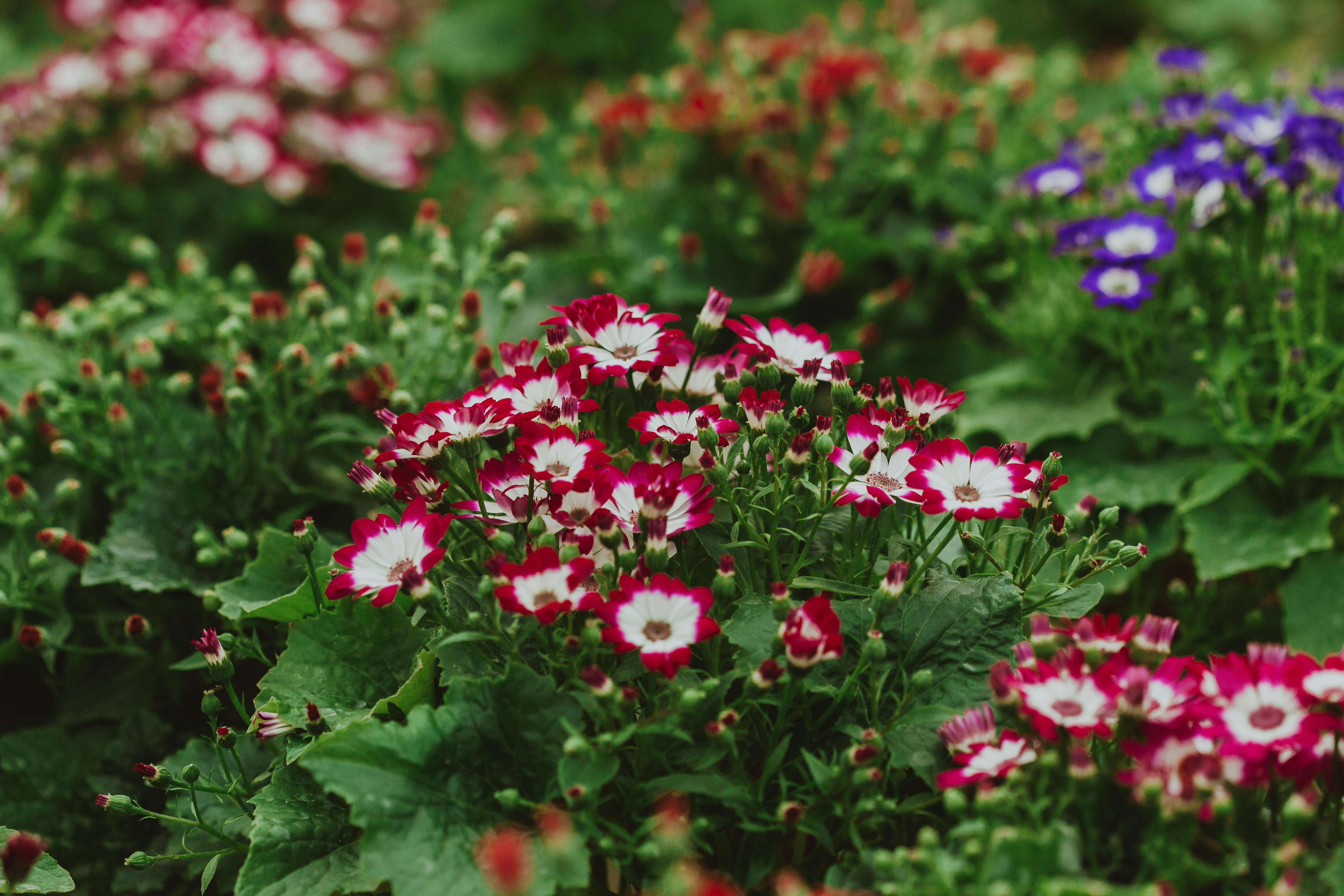 Grow your own