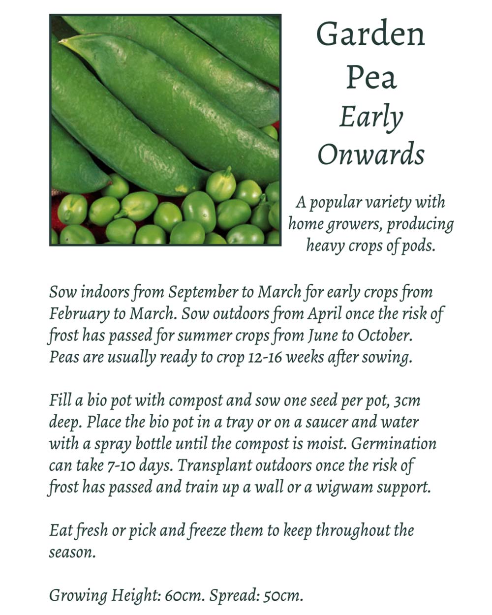 Grow Your Own Climbing Pea & Bean Giftset