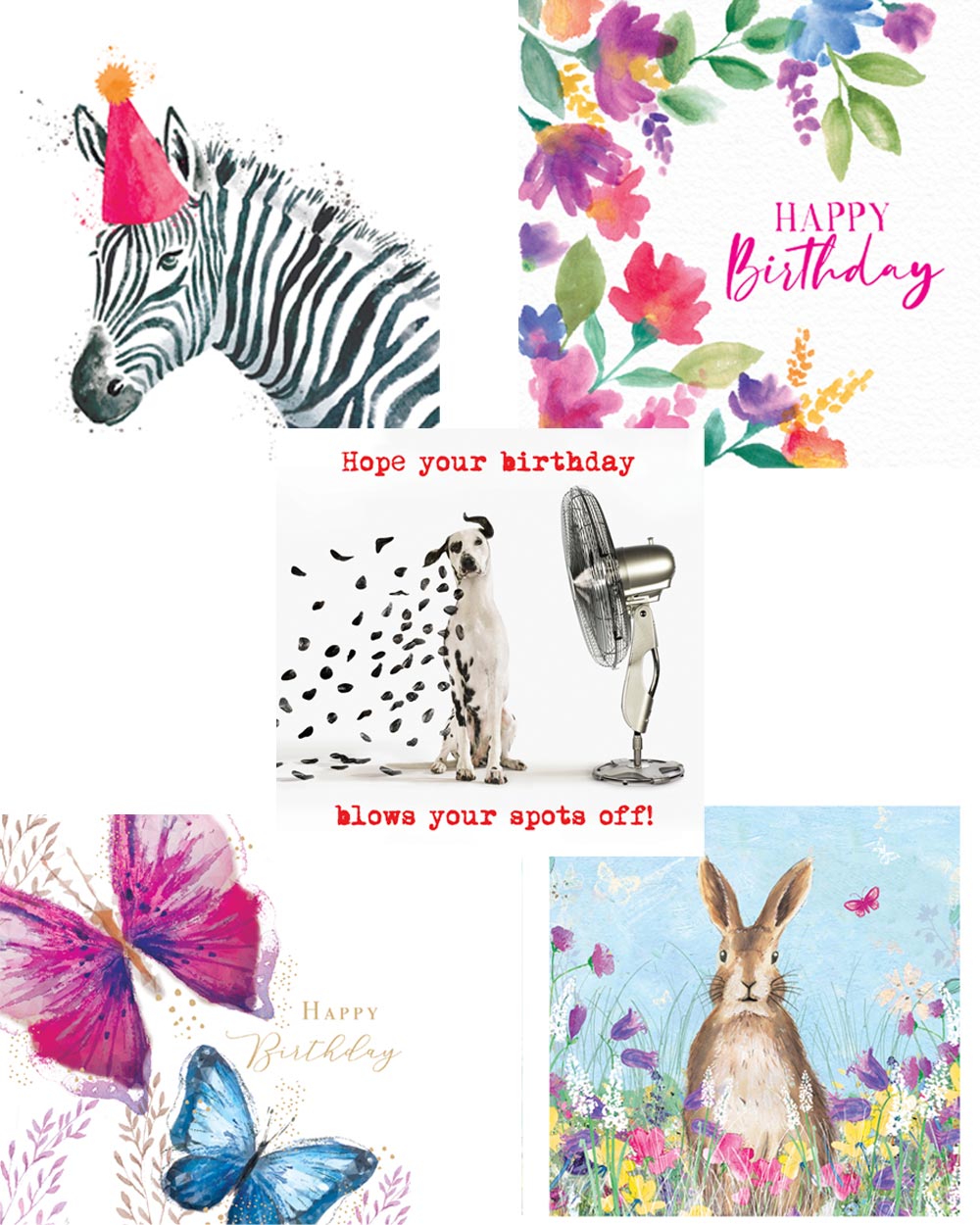 Get stocked up on charity birthday cards! With their assorted designs to suit different ages, this 5 pack of cards are ideal for anyone.  These cards are all made from FSC board which has also been carbon balanced. A perfect purchase for the envionmentally conscious!