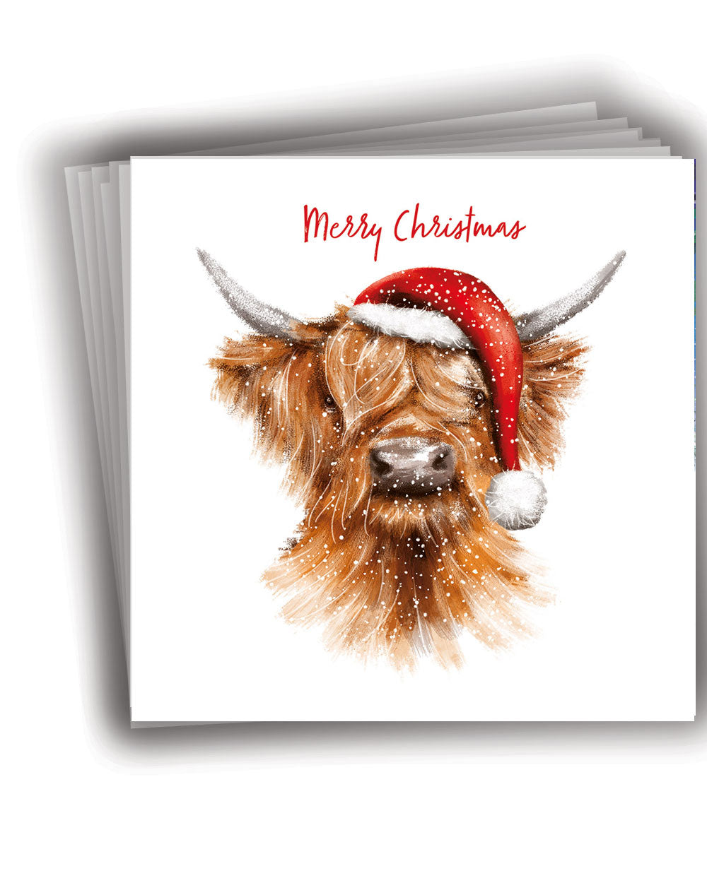 Charity Christmas Cards Highland Cow Pack Of 10