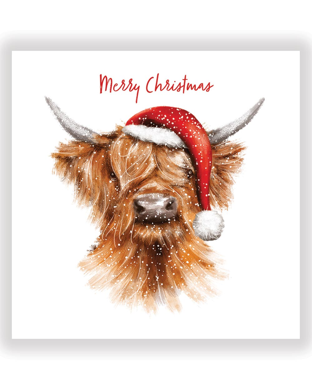 Charity Christmas Cards Highland Cow Pack Of 10