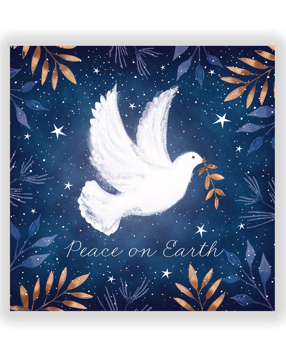 Charity Christmas Cards Pack Of 10 Peaceful Dove