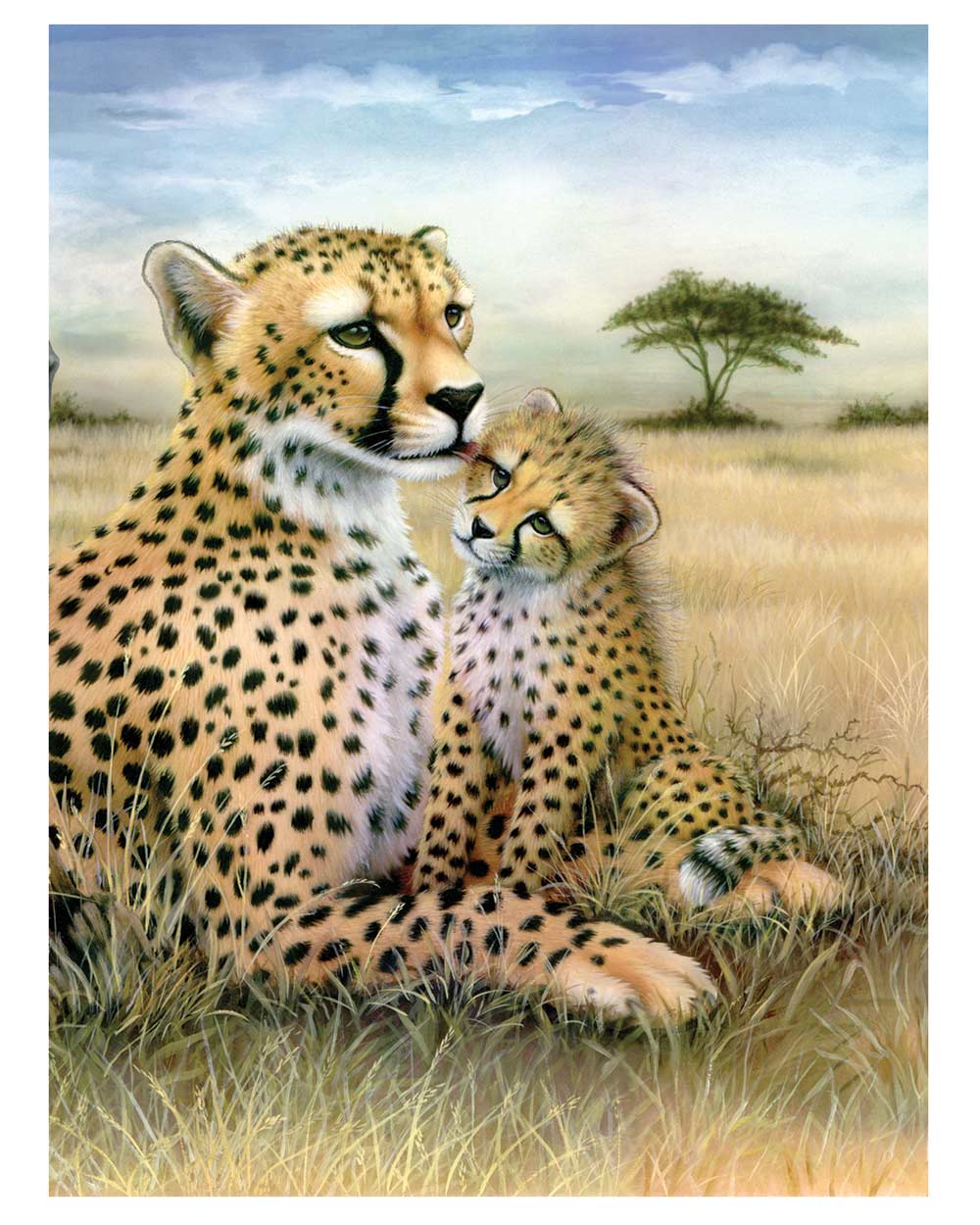 Painting By Numbers Kit Leopard And Cub Age 8+